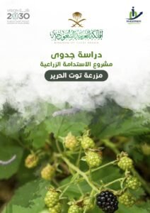 غلاف دراسة جدوى مشروع الحرير11